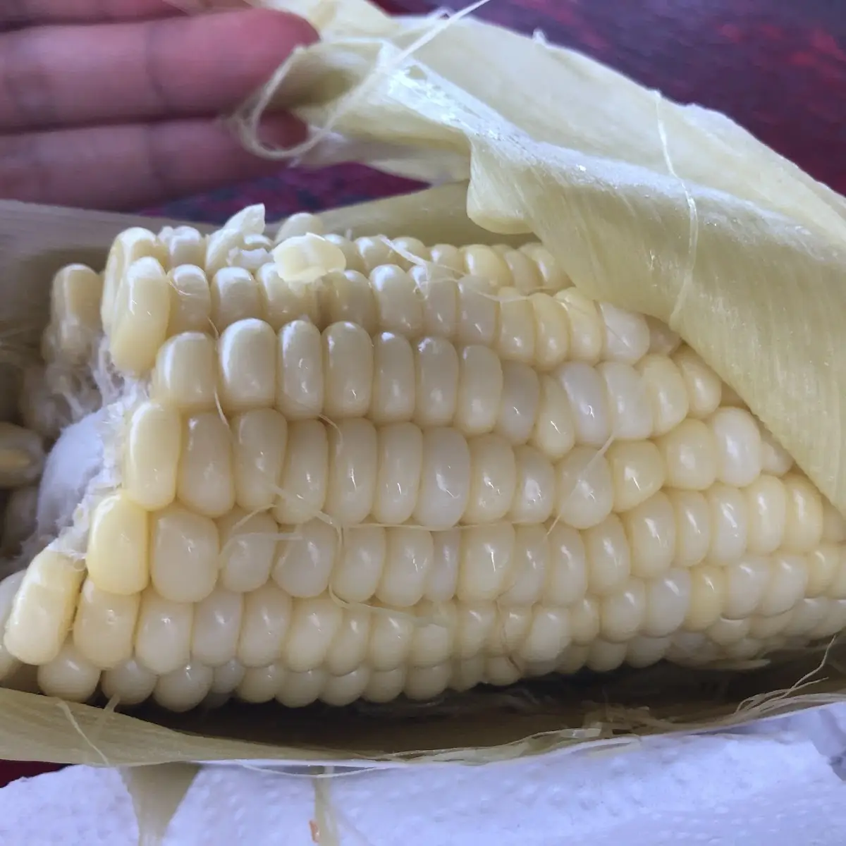 Kahuku Sweet Corn