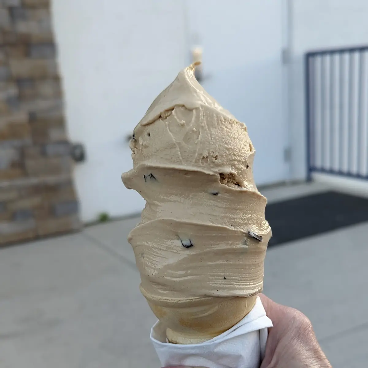 Coffee Chocolate Chip Ice Cream