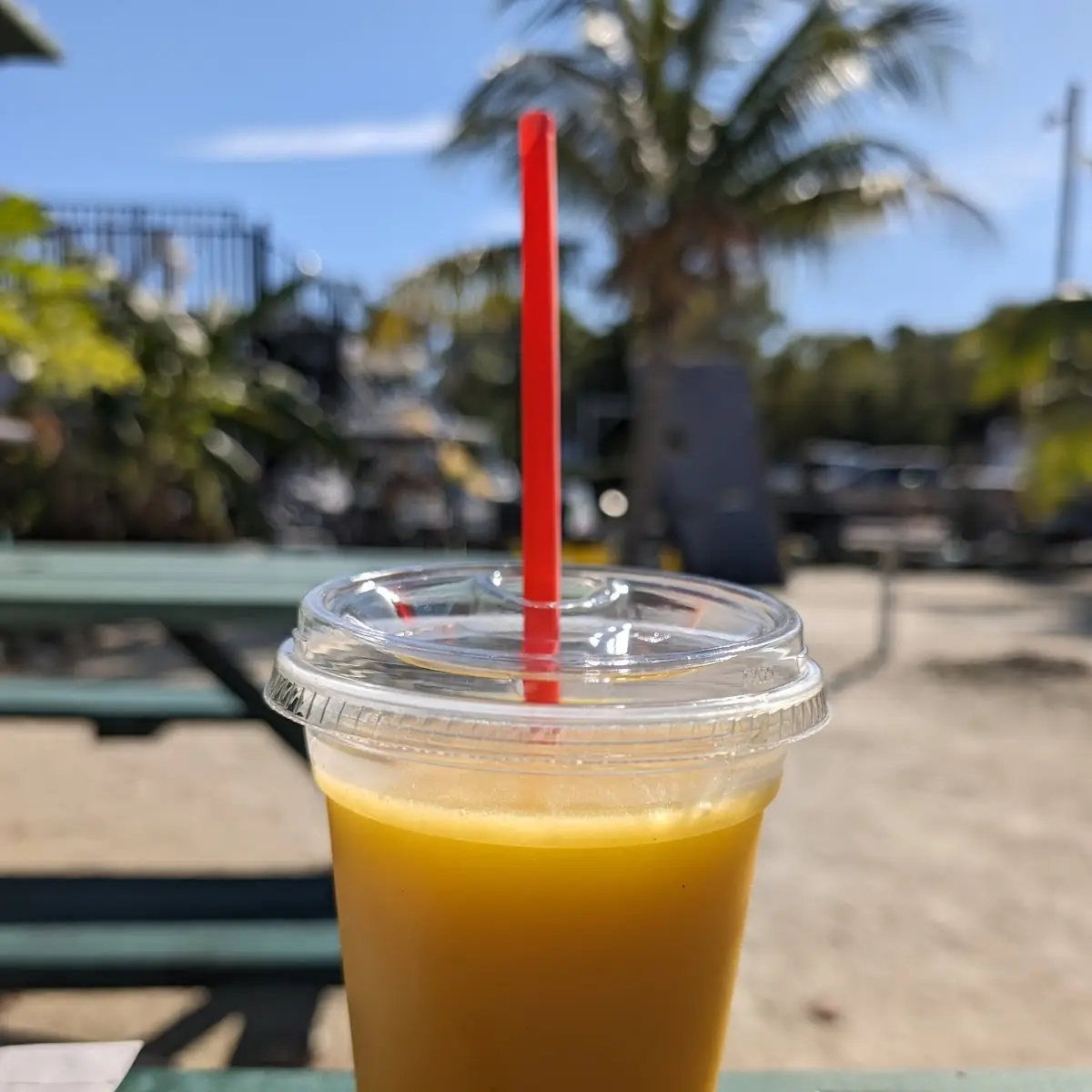 Mango Smoothie