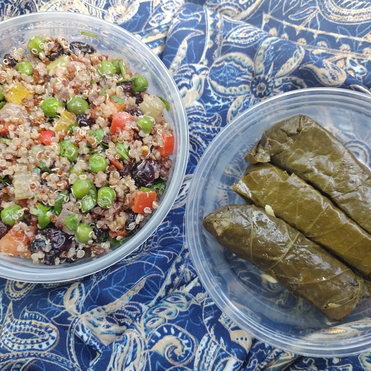 Quinoa Salad Stuffed Grape Leaves