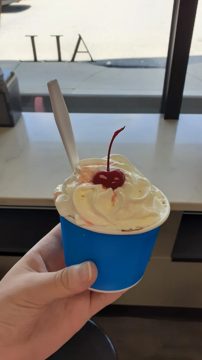 Belgian Chocolate Gelato