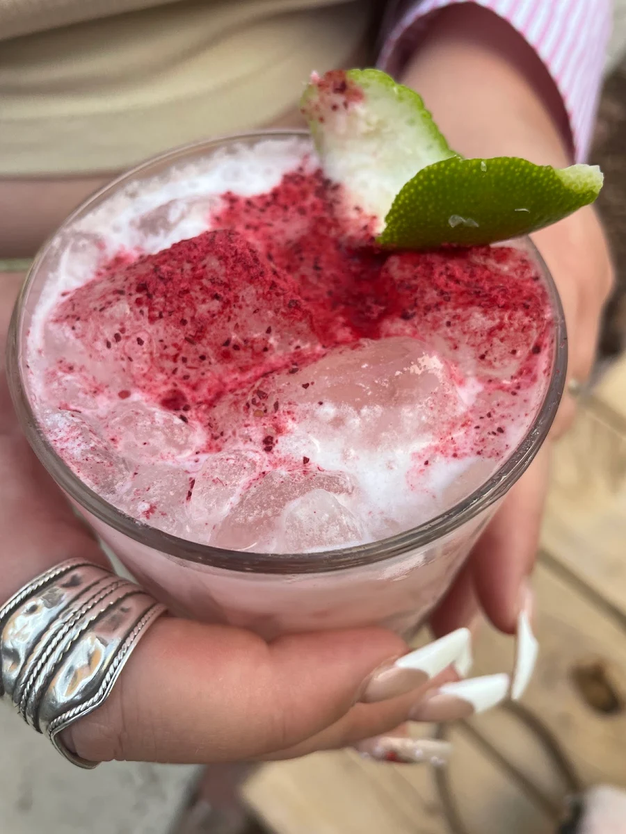 Highlights, House of Plants Bar