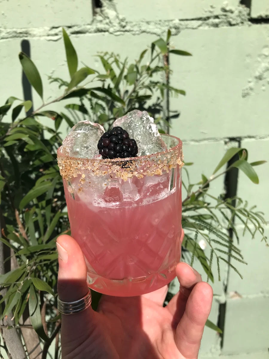 Highlights, House of Plants Bar