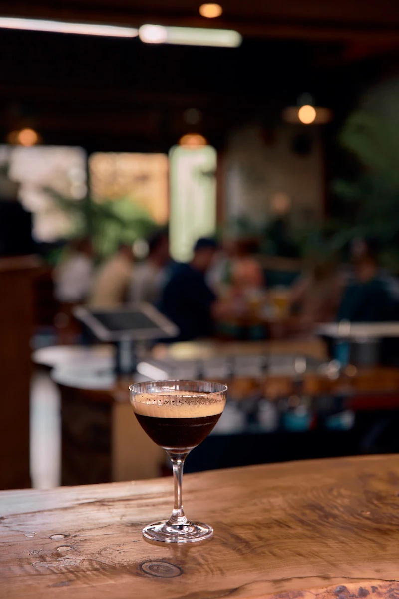 Highlights, House of Plants Bar
