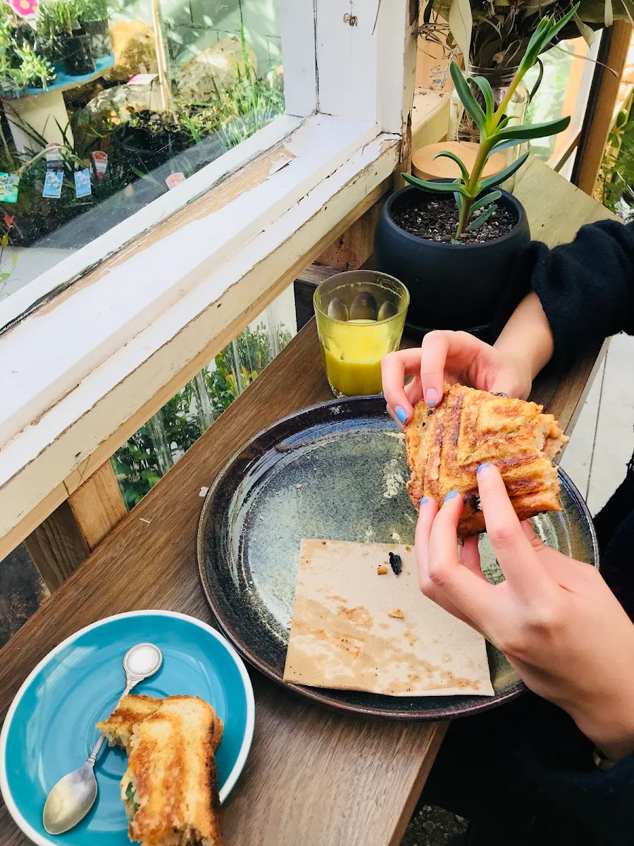 Highlights, House of Plants Bar