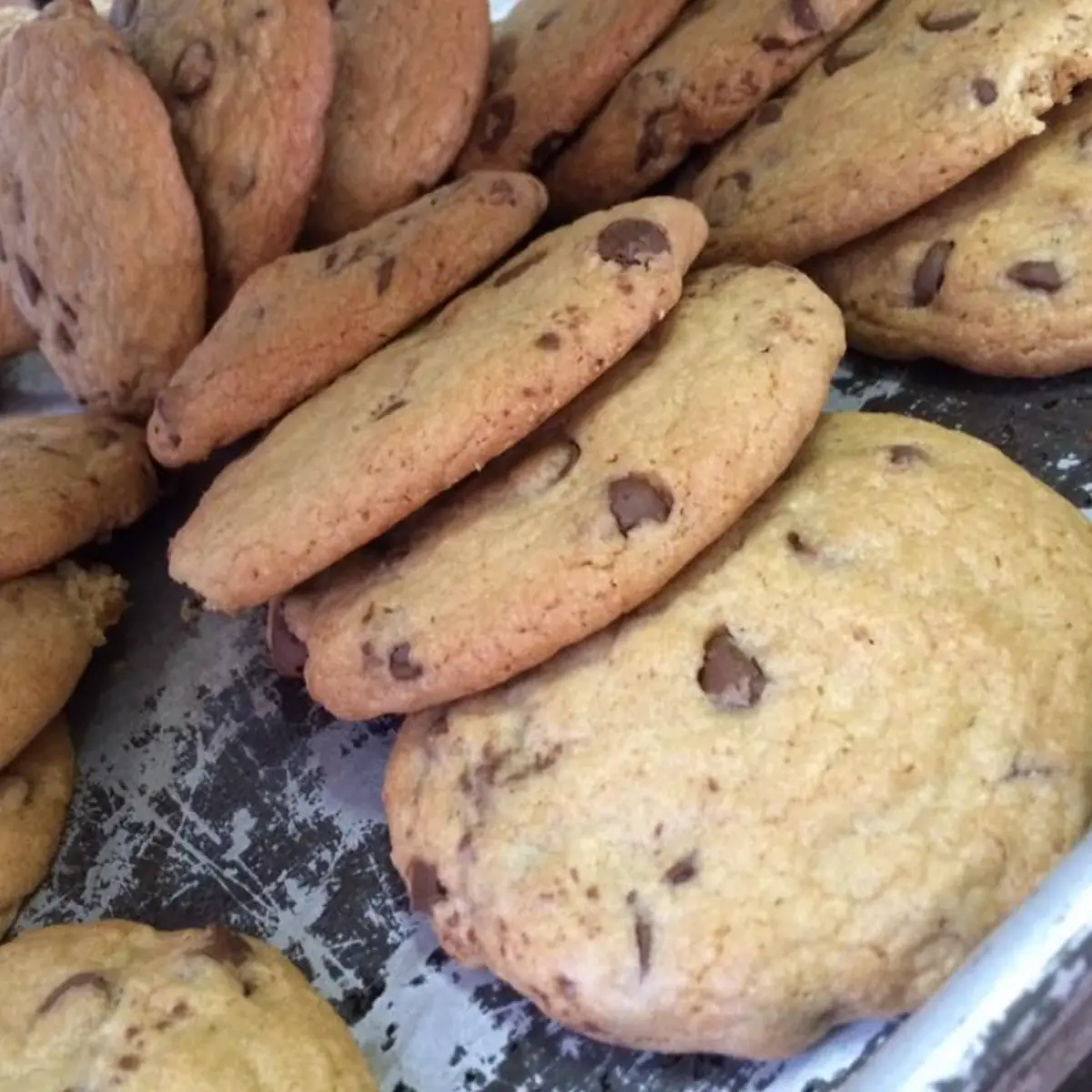 Chocolate Chip Cookies