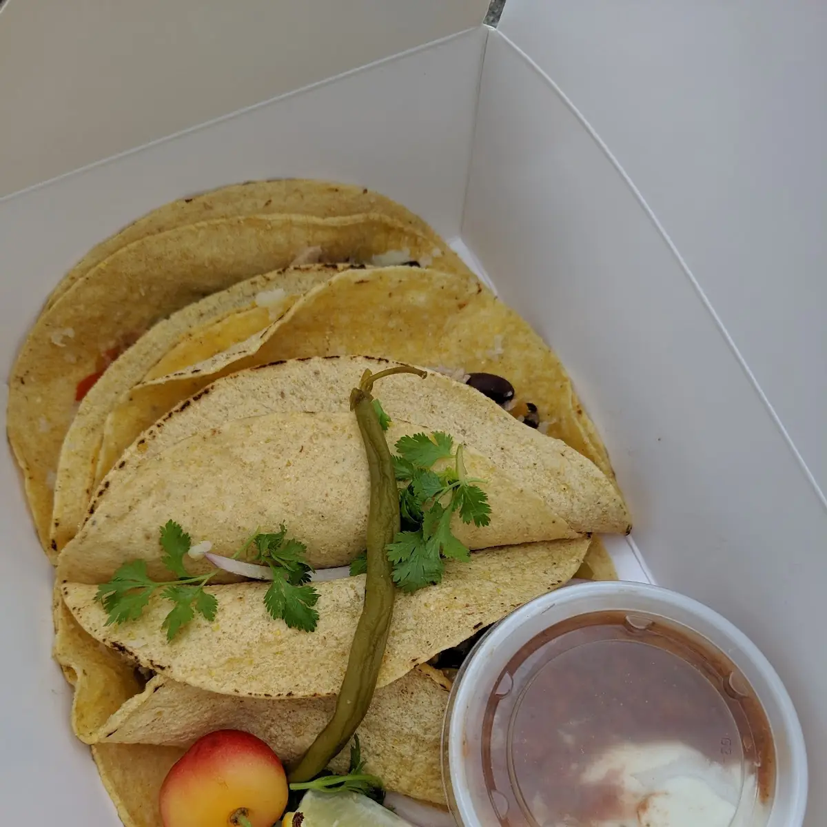 Salmon Tacos