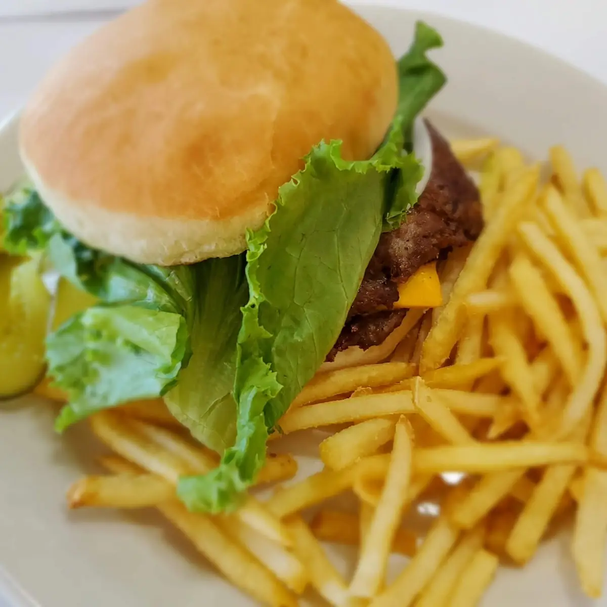 Double Cheeseburger Combo