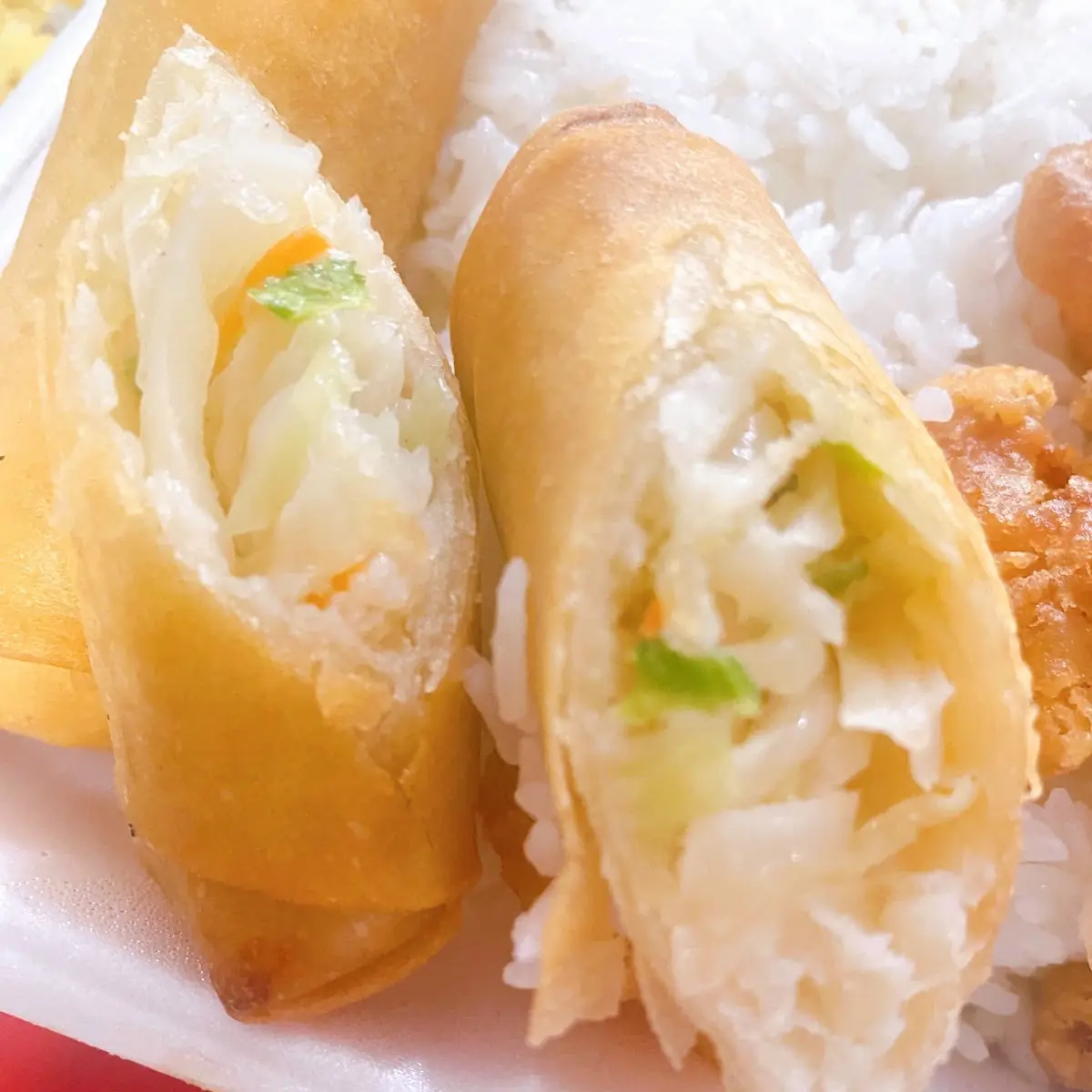 Spring Roll 1