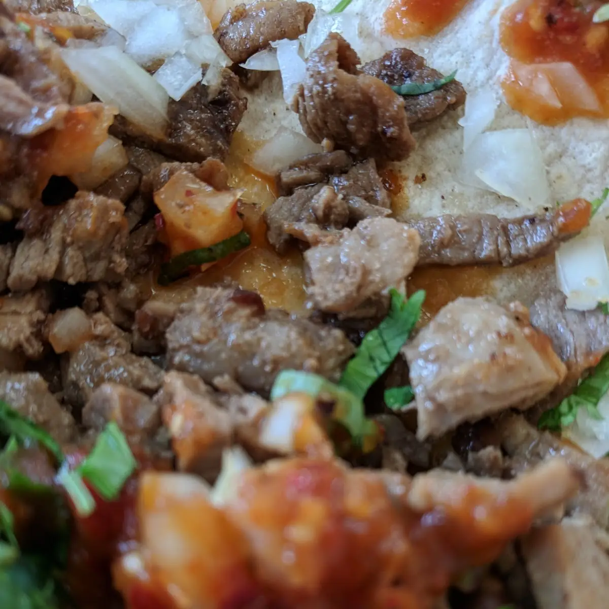 Carne Asada Burrito
