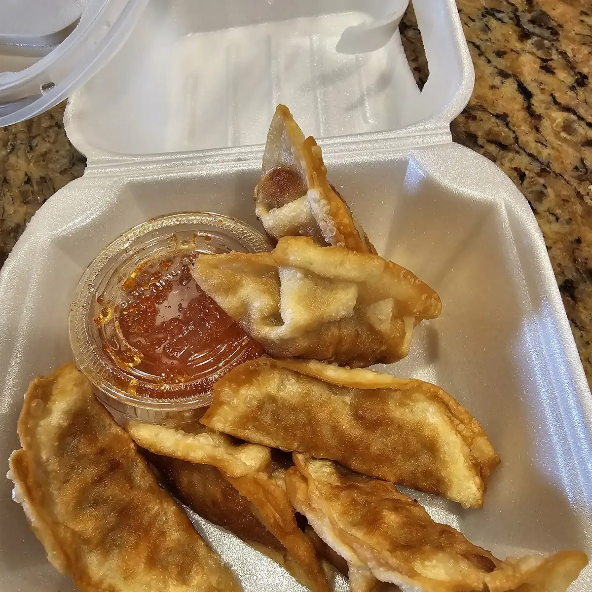 Fried Dumplings