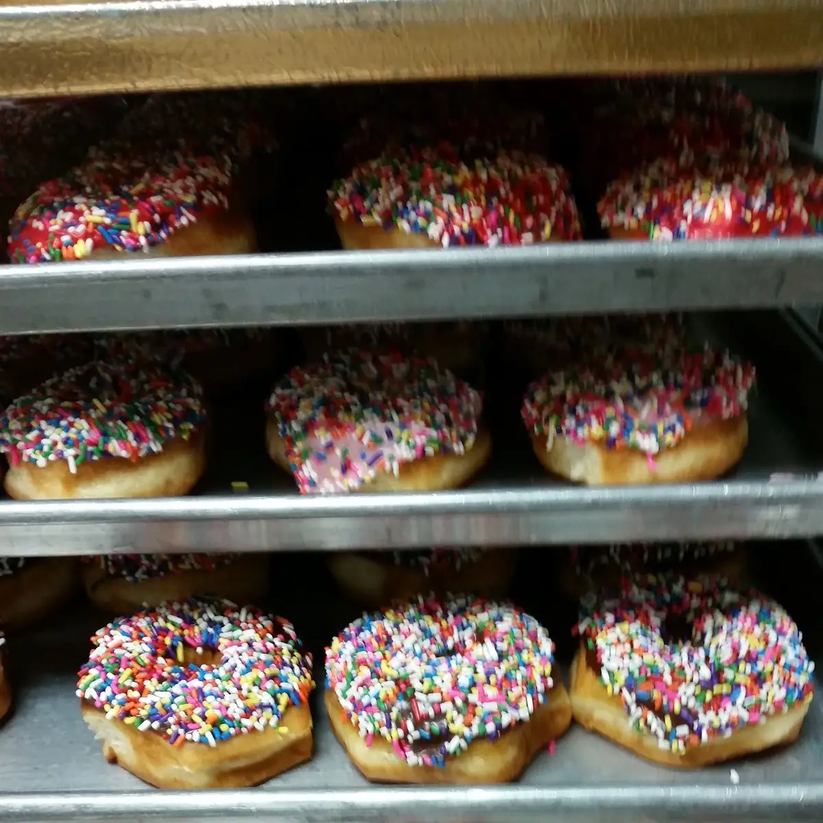 Chocolate Nut Donuts