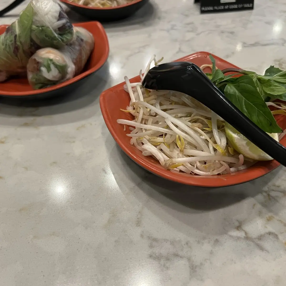 Summer Rolls and Pho Toppings