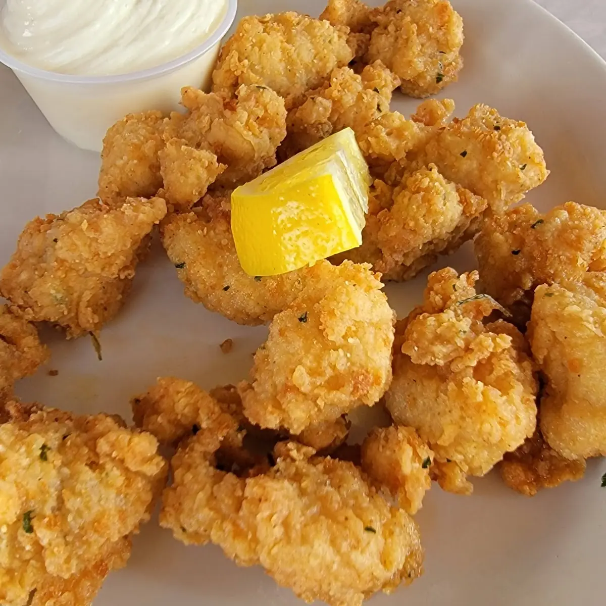 Gator Bites