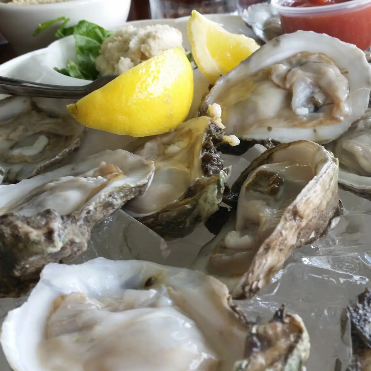 Oysters on the Half Shell