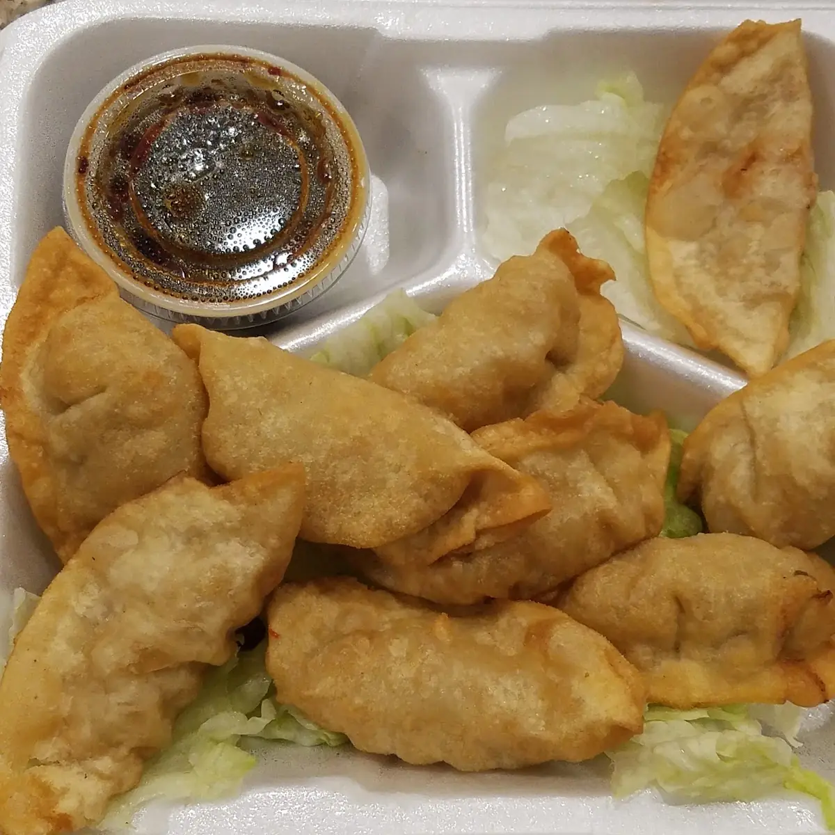 A3 Fried Dumplings 10