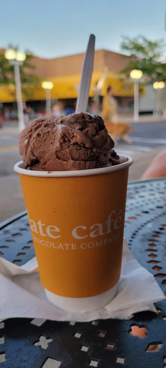 Chocolate Ice Cream