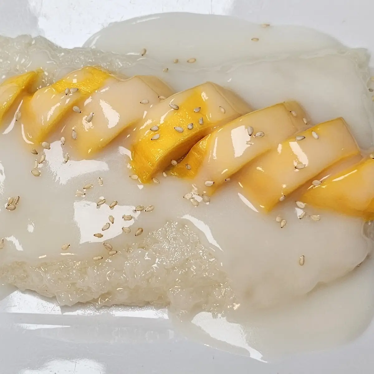 Mango Sticky Rice Pudding