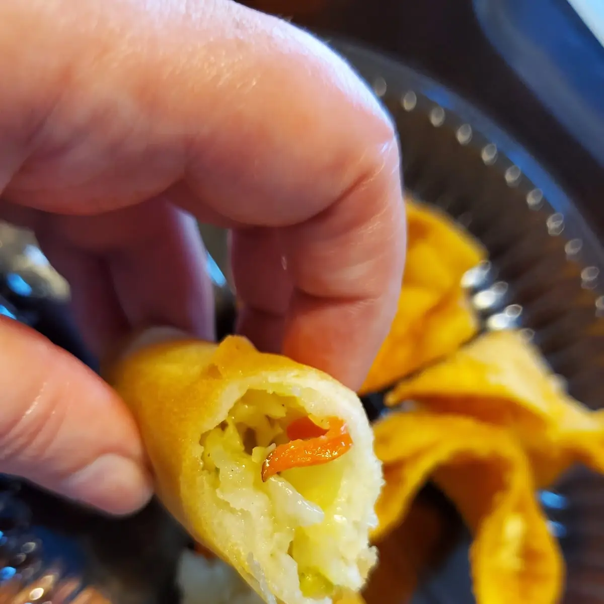 Spring Roll 1