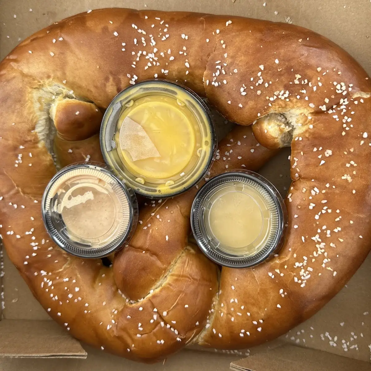 Big Pretzel