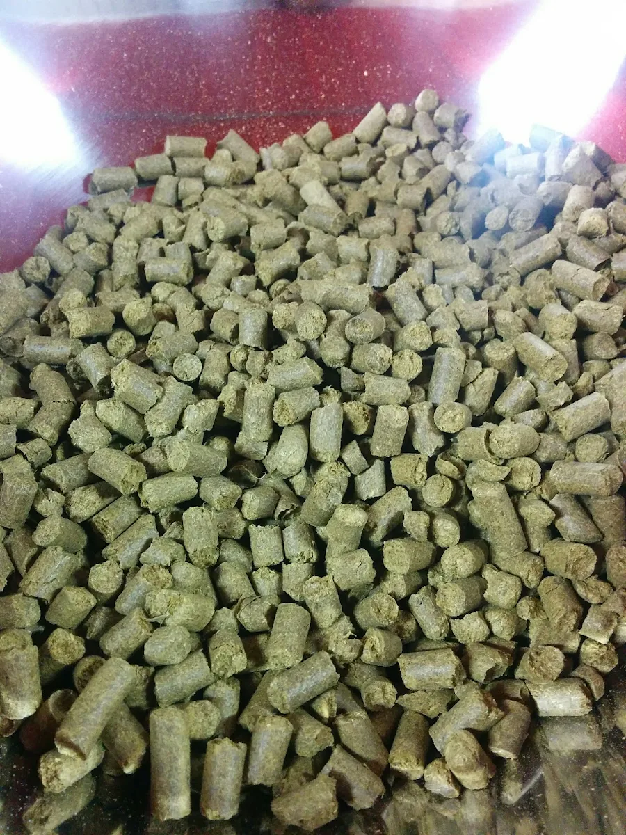 Making Beer