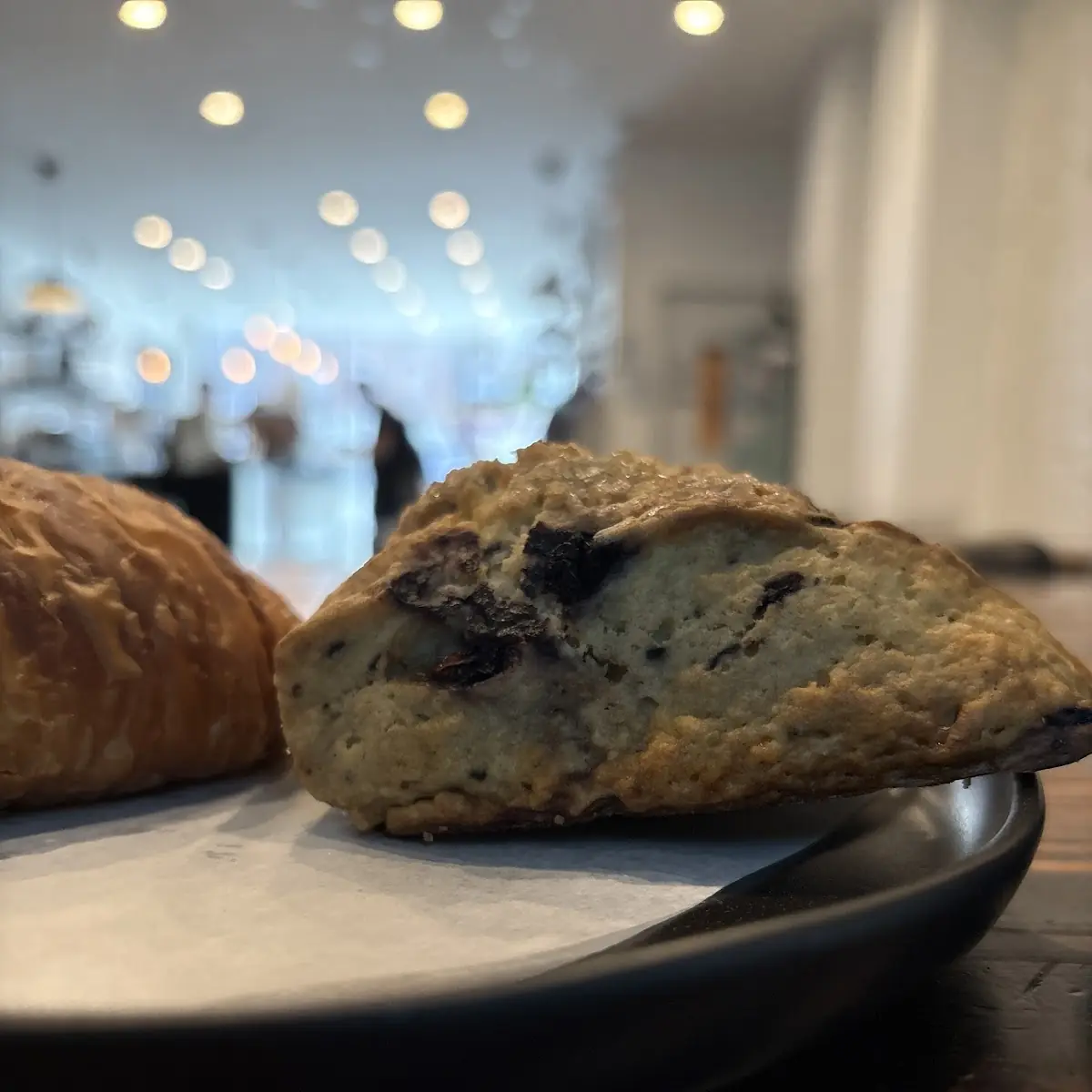 Blueberry Muffin