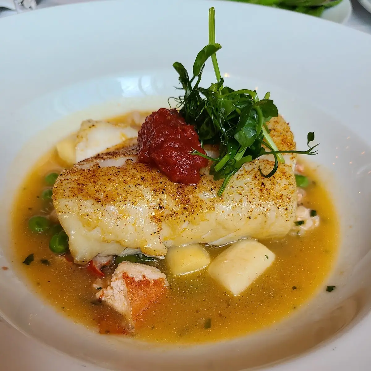 Atlantic Cod