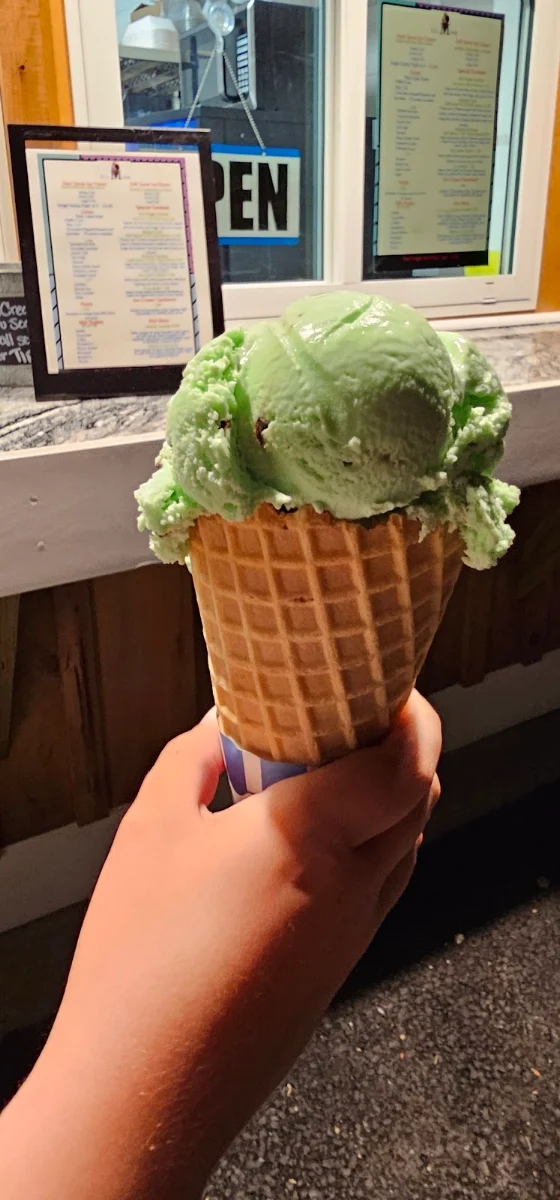 Chocolate Chip Mint Waffle Cone