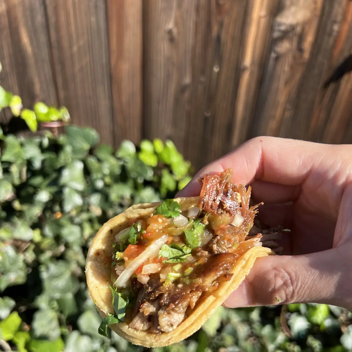 Al Pastor Tacos
