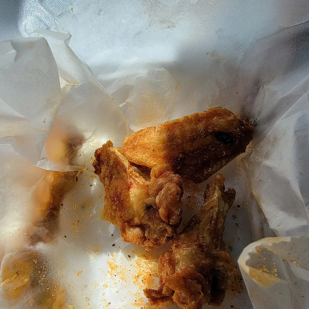 Plain Wings with Seasoned Salt