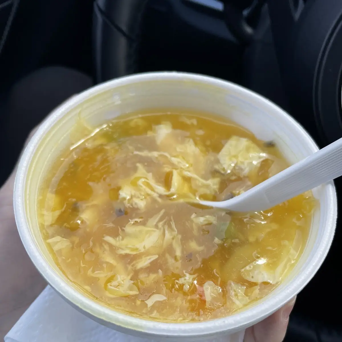Cup Hot & Sour Soup