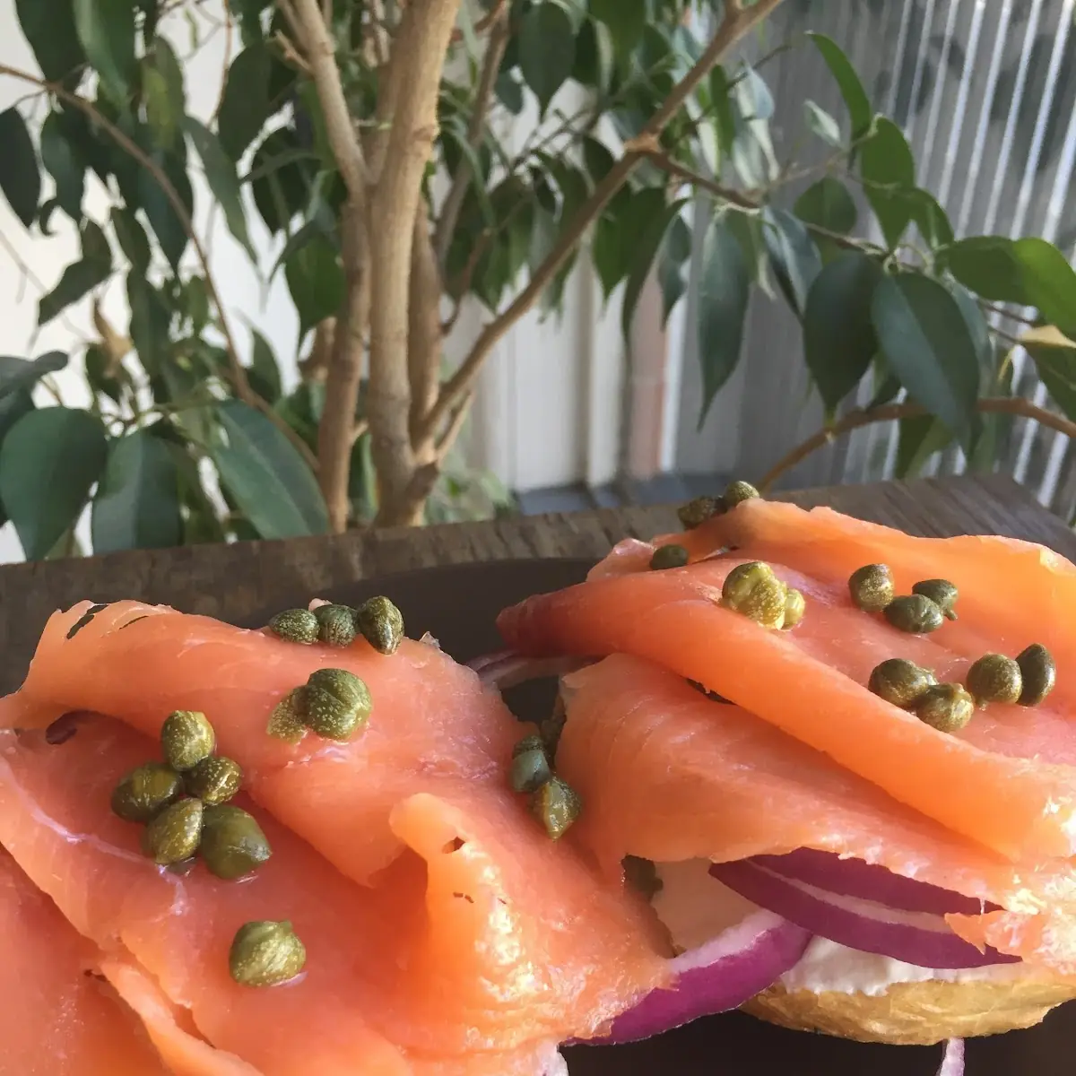 Lox Bagel