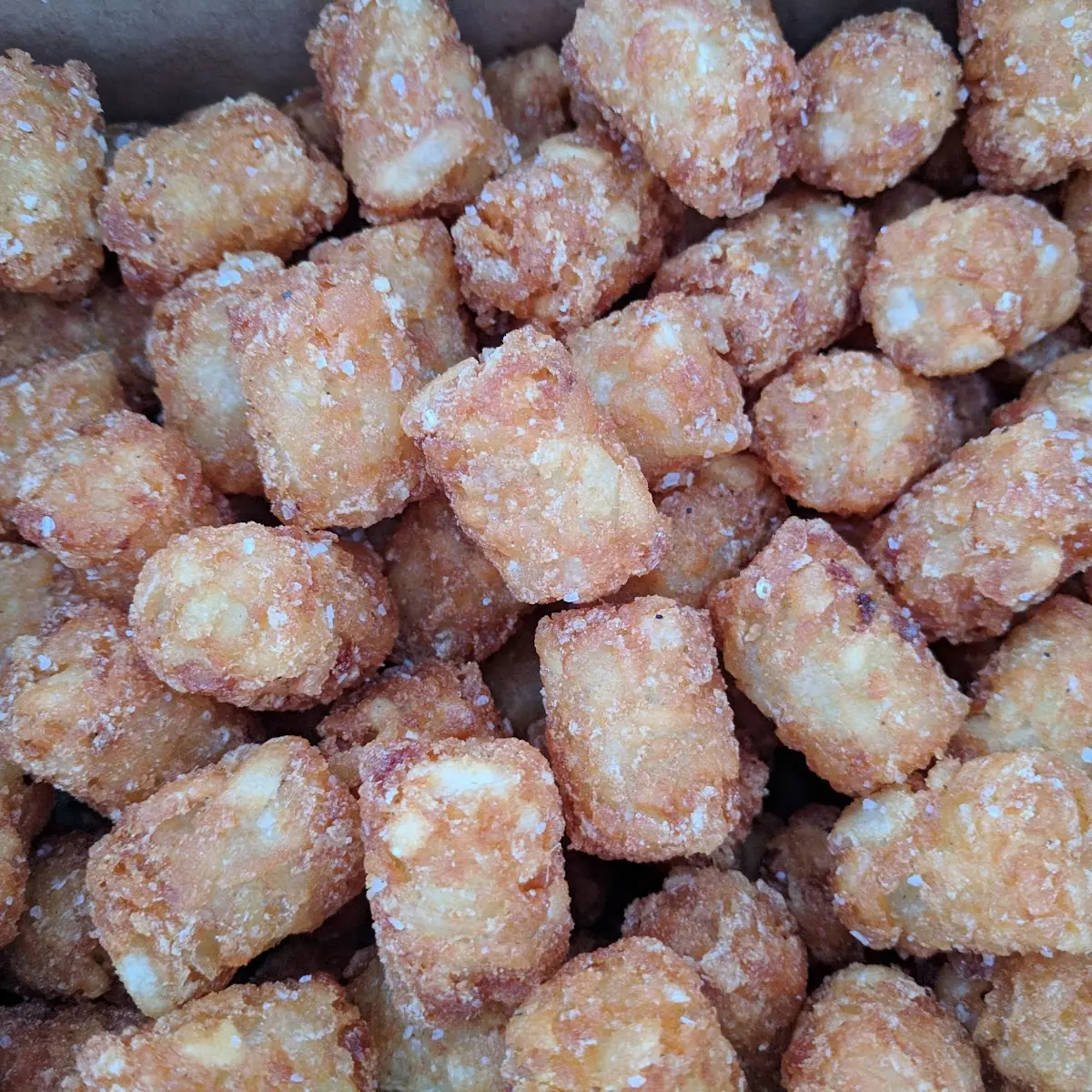 Tater Tots from Skylark Bar Next Door