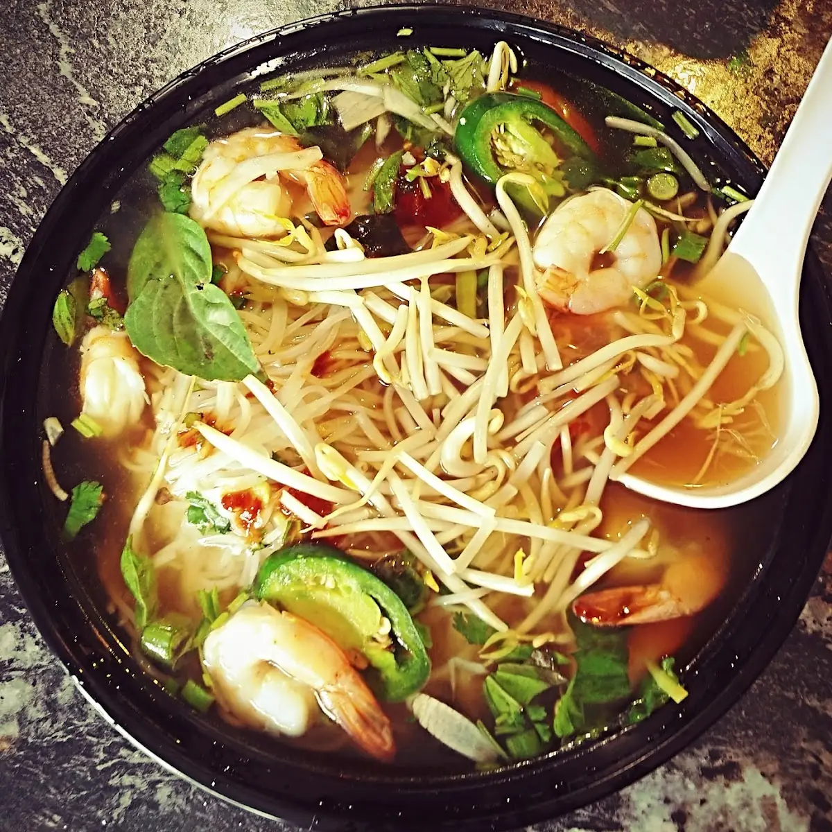 Chicken Pho Togo