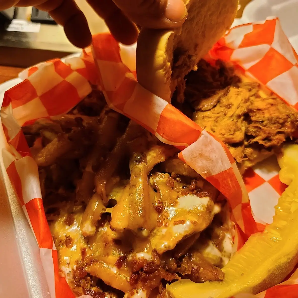 Pulled Pork and Loaded Fries