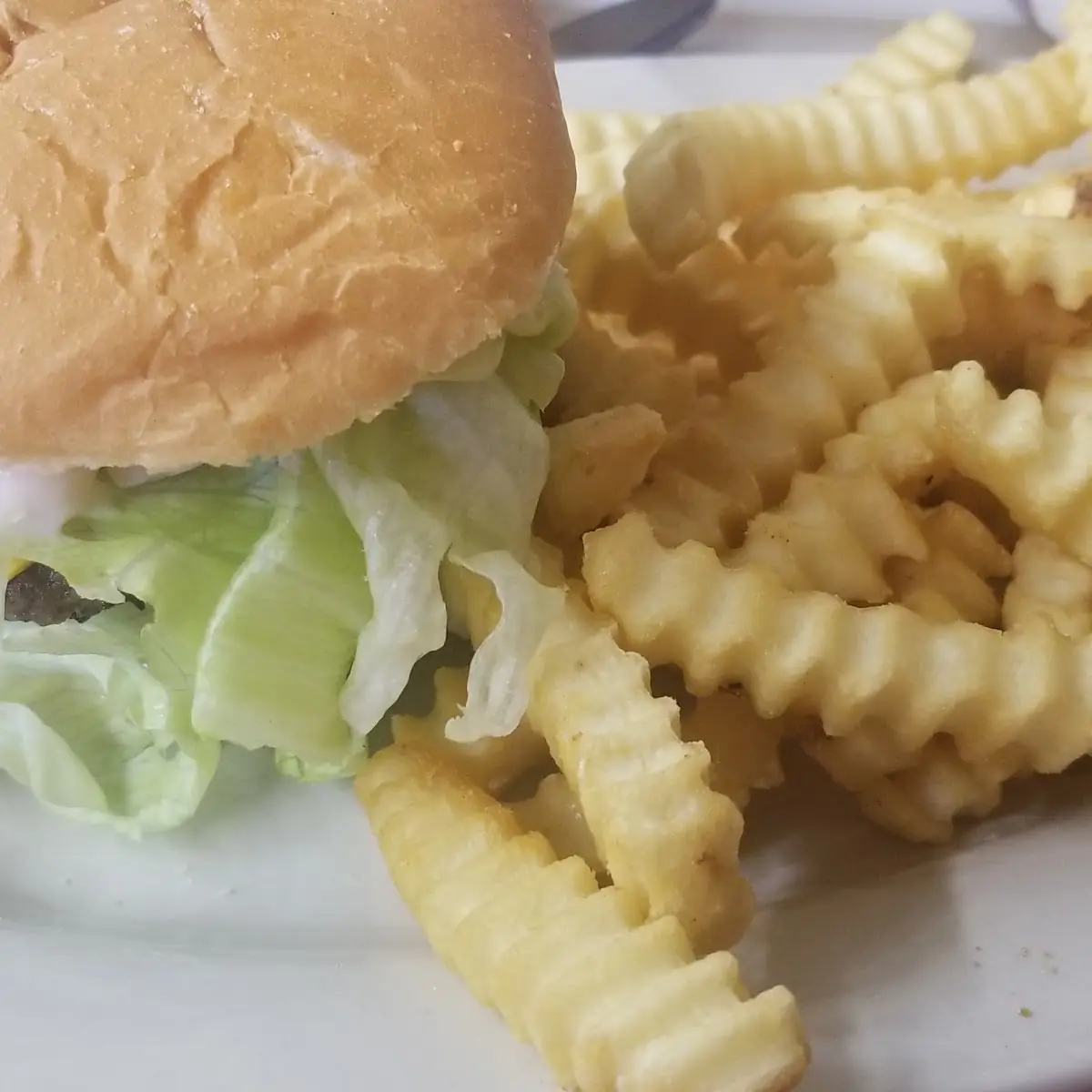 Cheeseburger and Fries