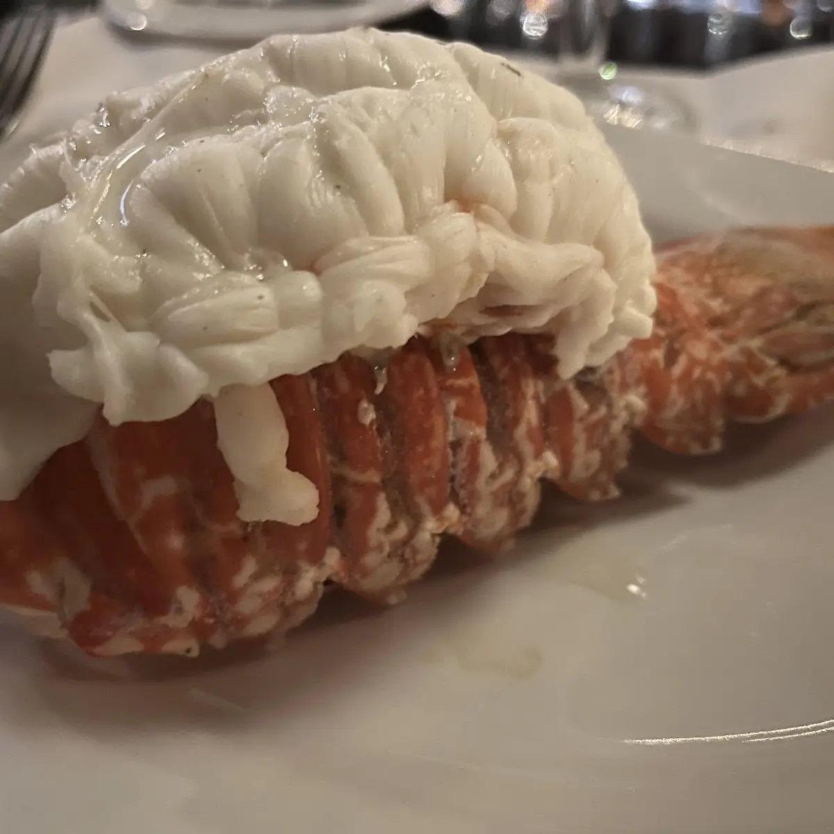 Lobster Tail