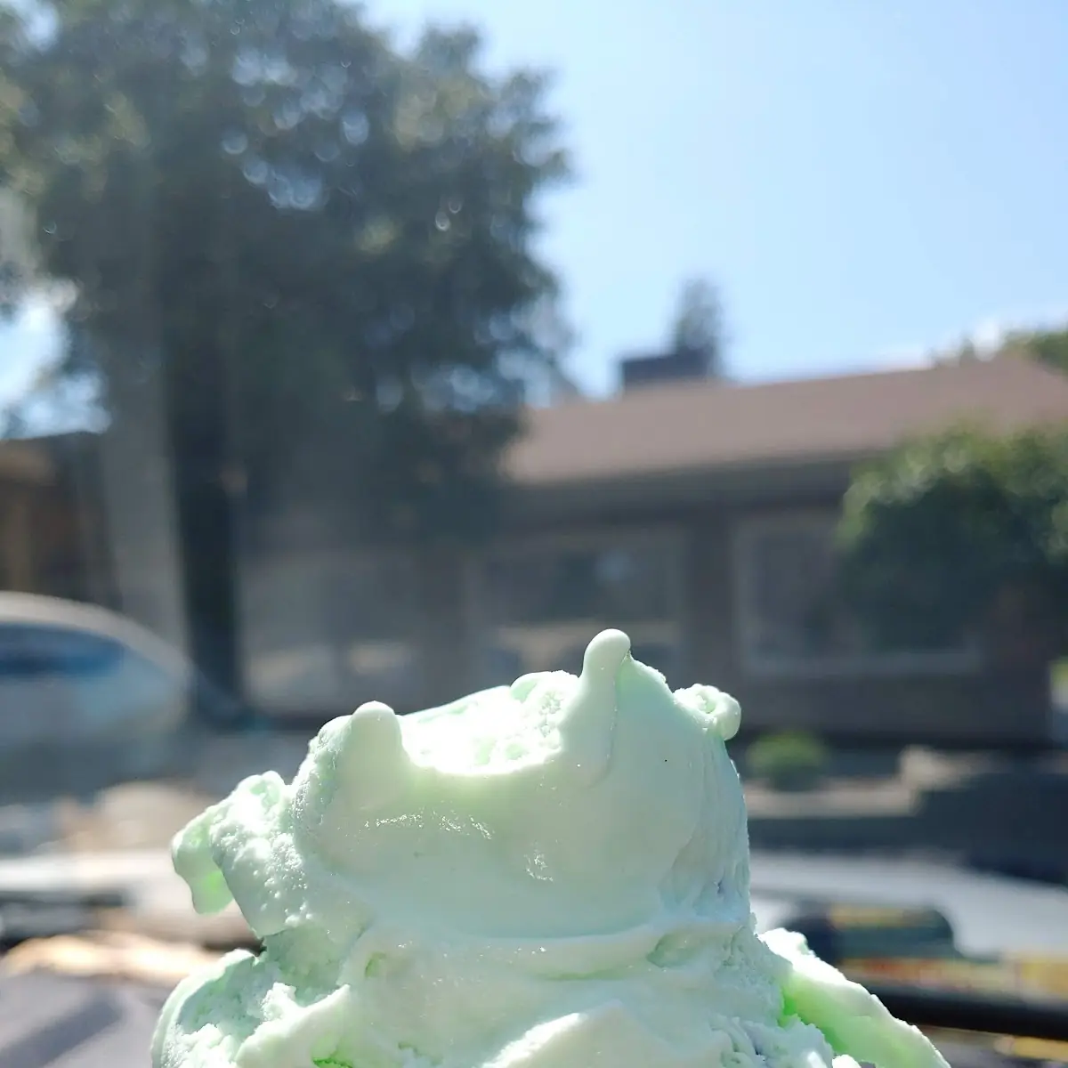Mint Chocolate Chip Ice Cream Cone