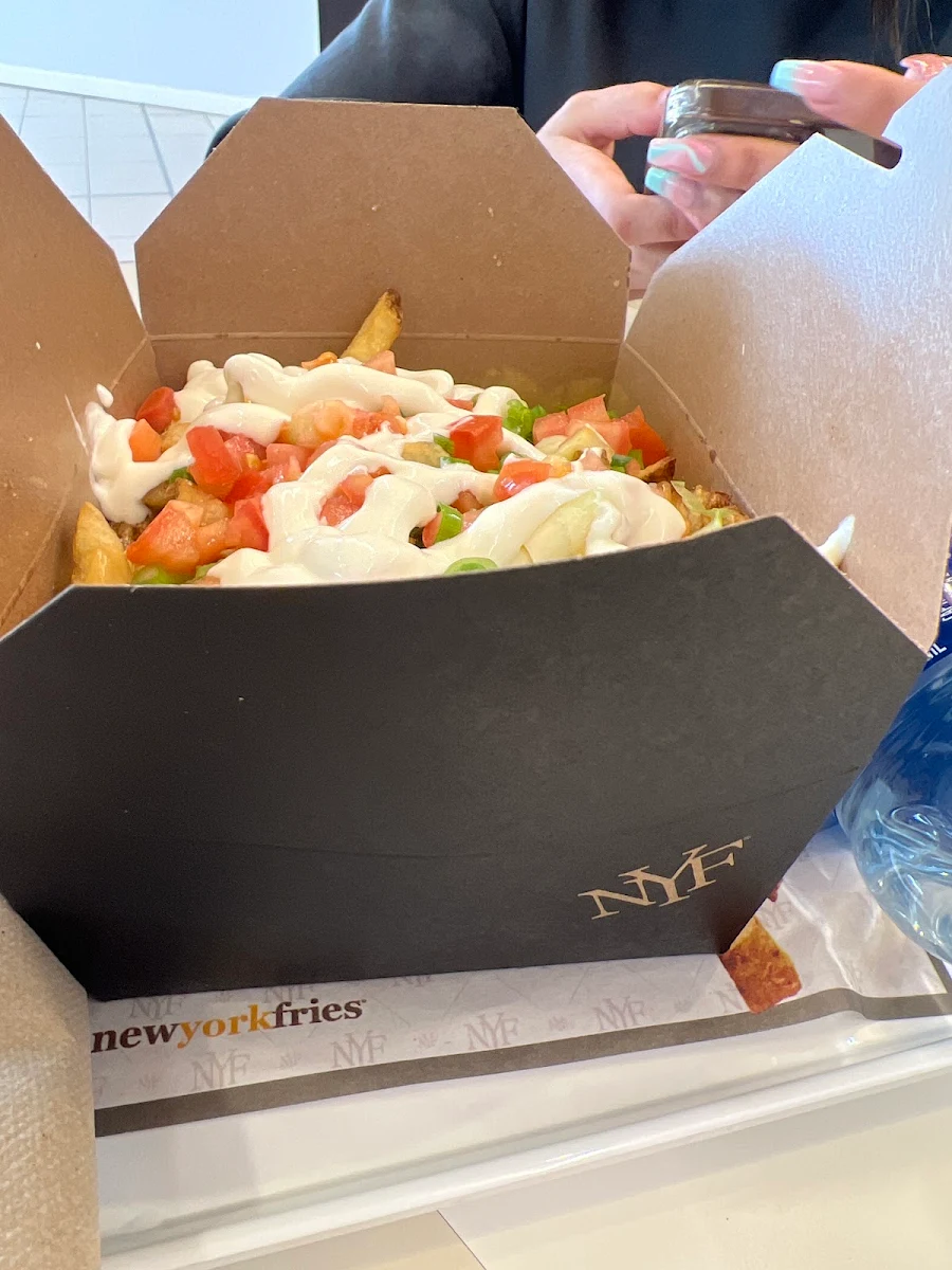 Loaded New York Fries