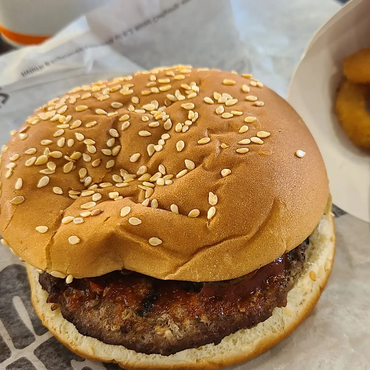 Hamburger and Onions Rings