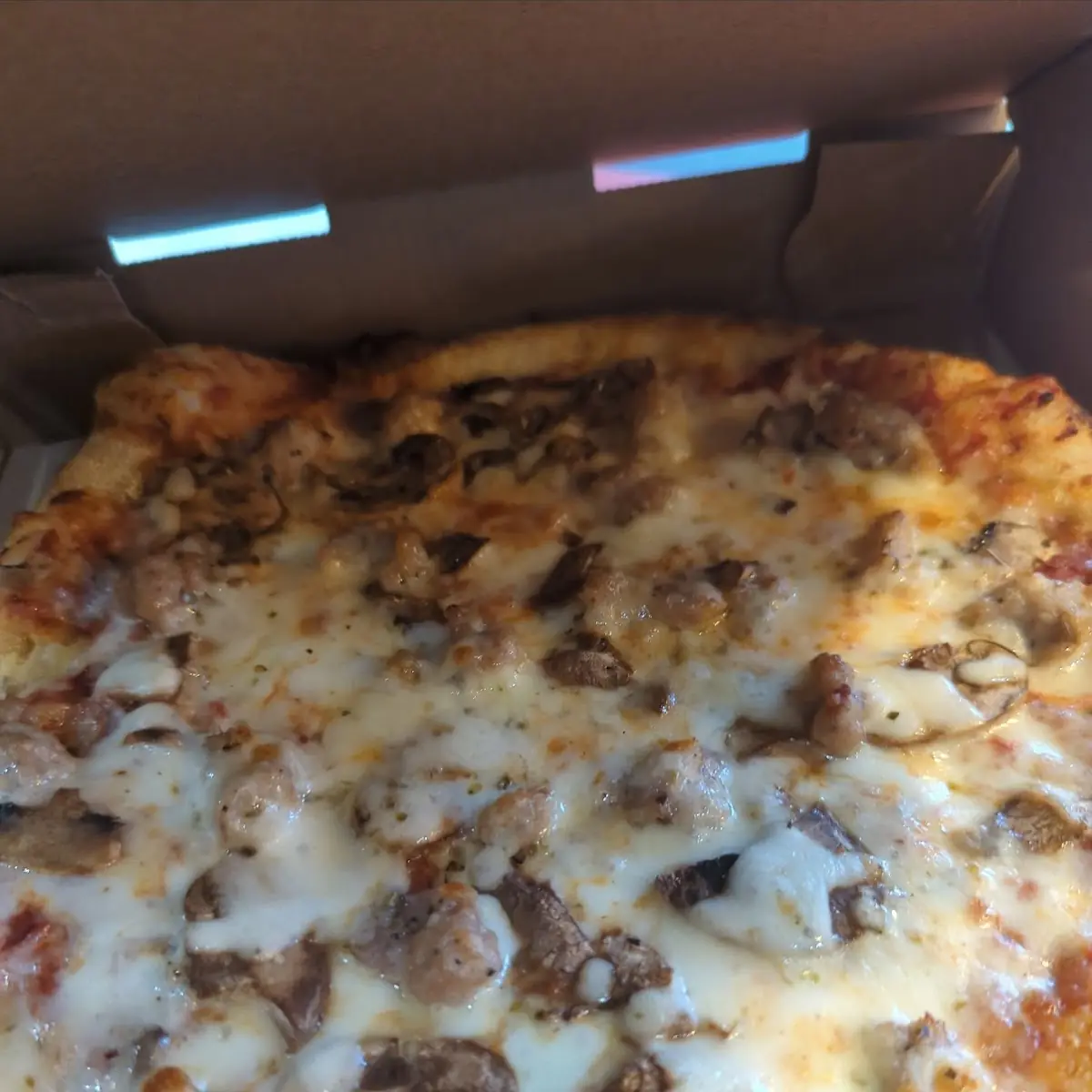 Mushroom and Sausage Pizza