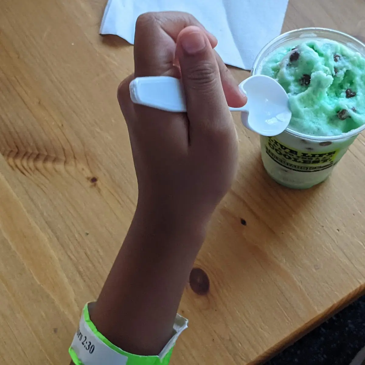 Mint Chocolate Chip
