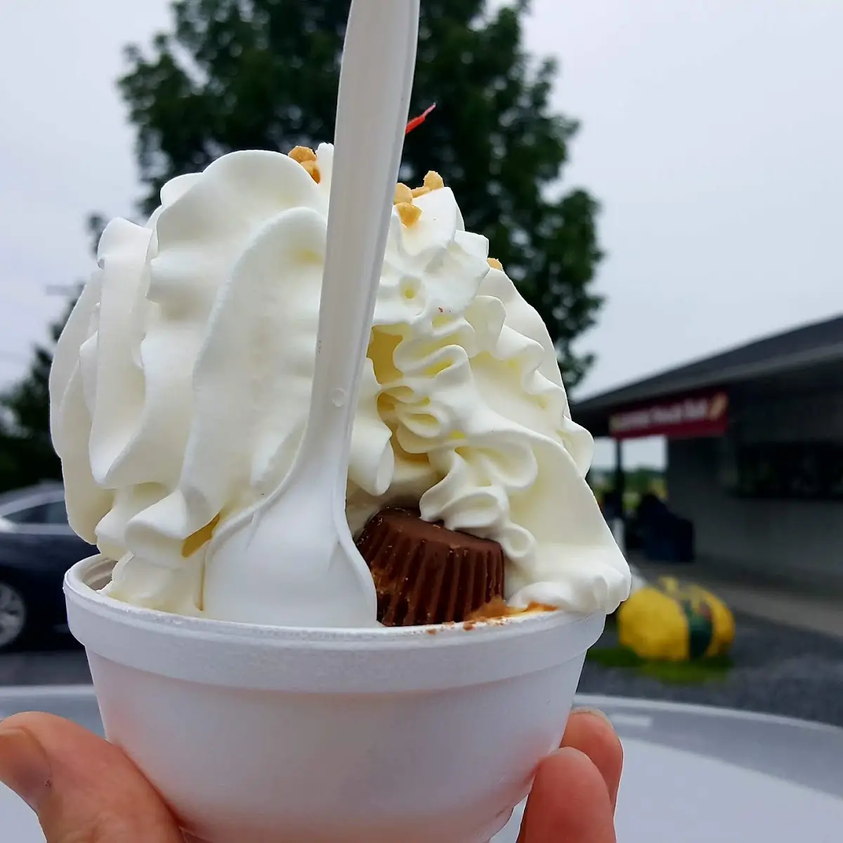 PB Cup Sundae Small