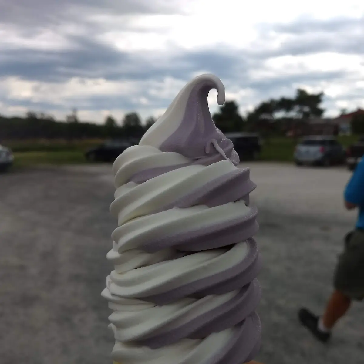 Vanilla and Black Raspberry Twist