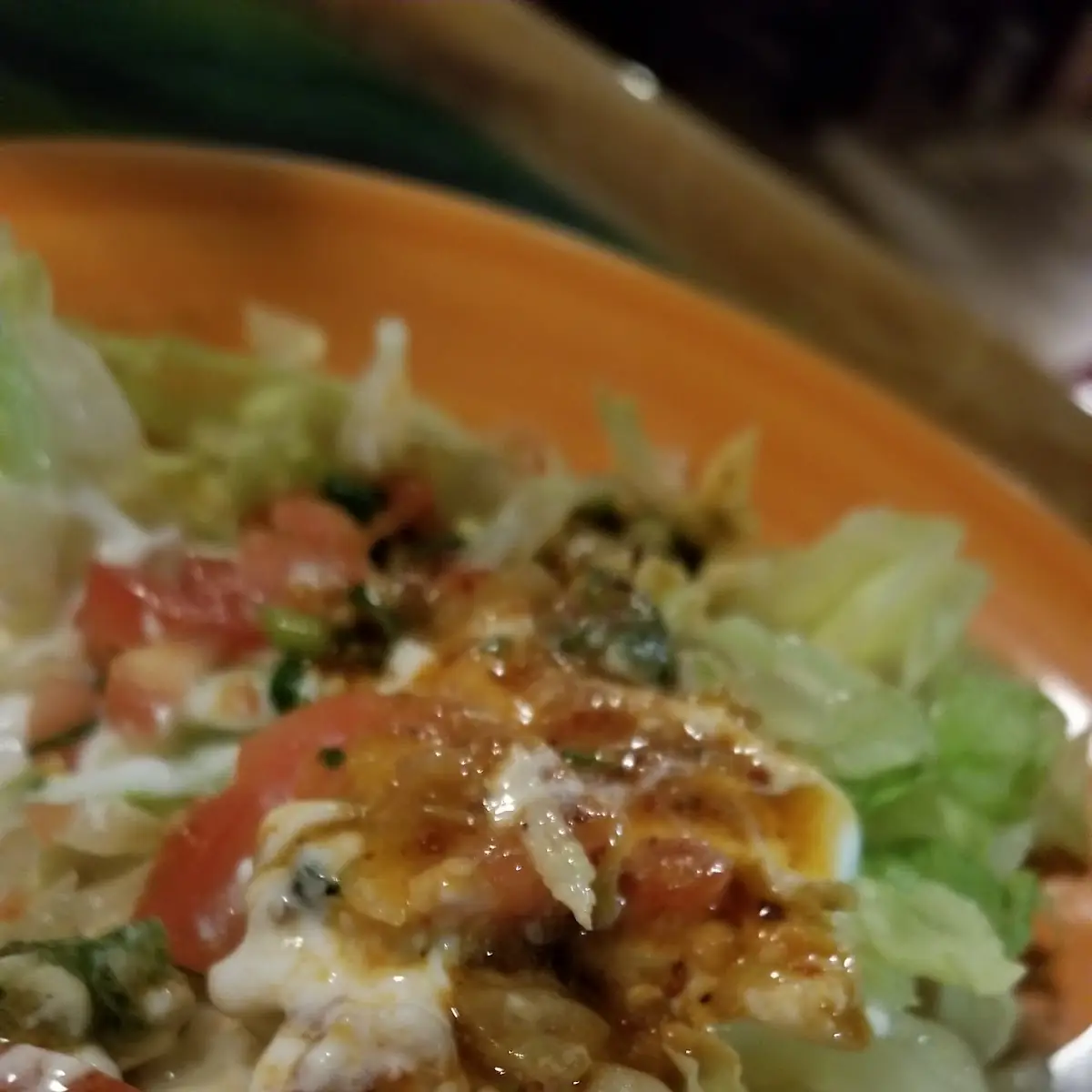 Chicken Burrito