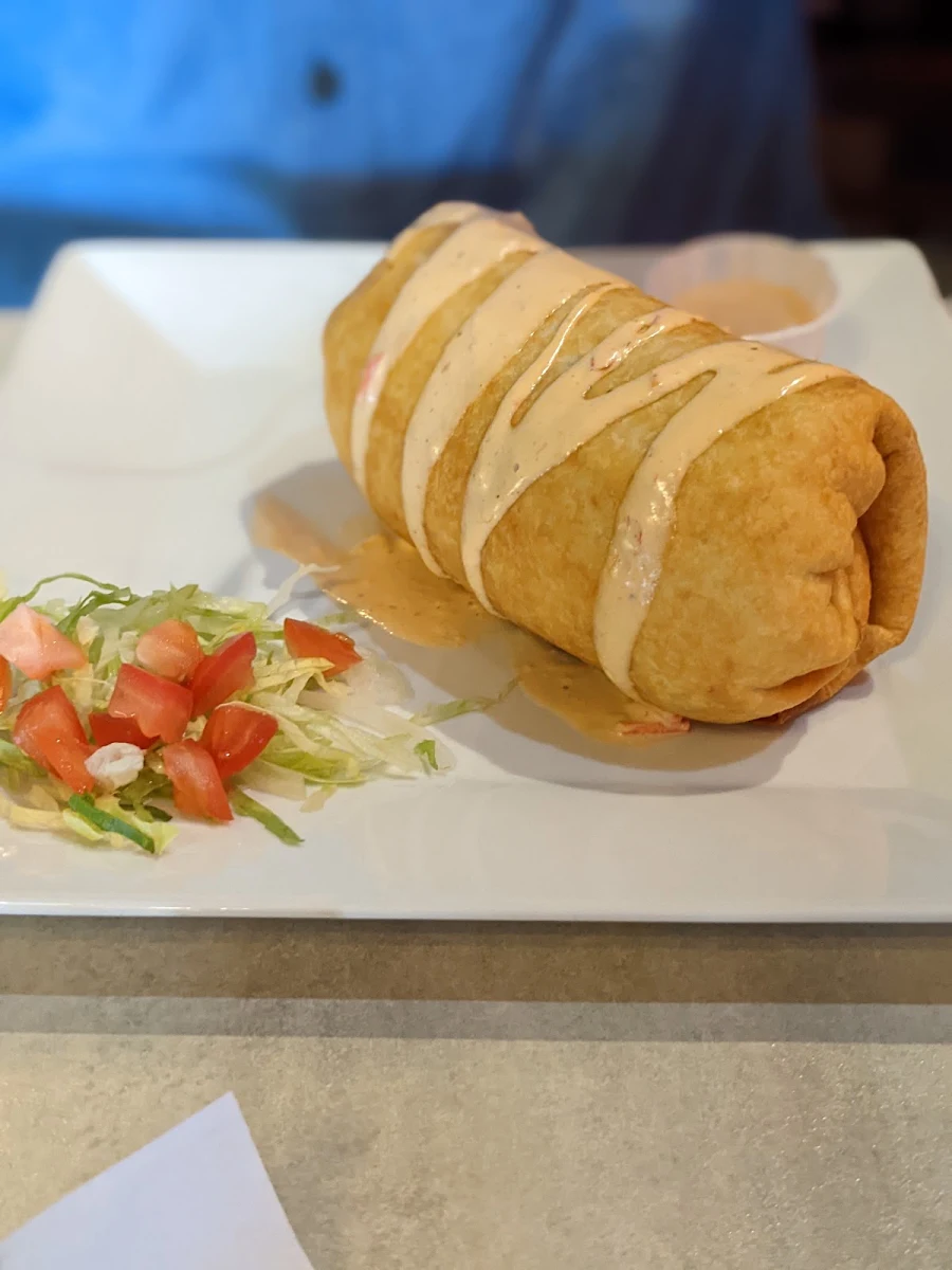 Chimichanga Plate