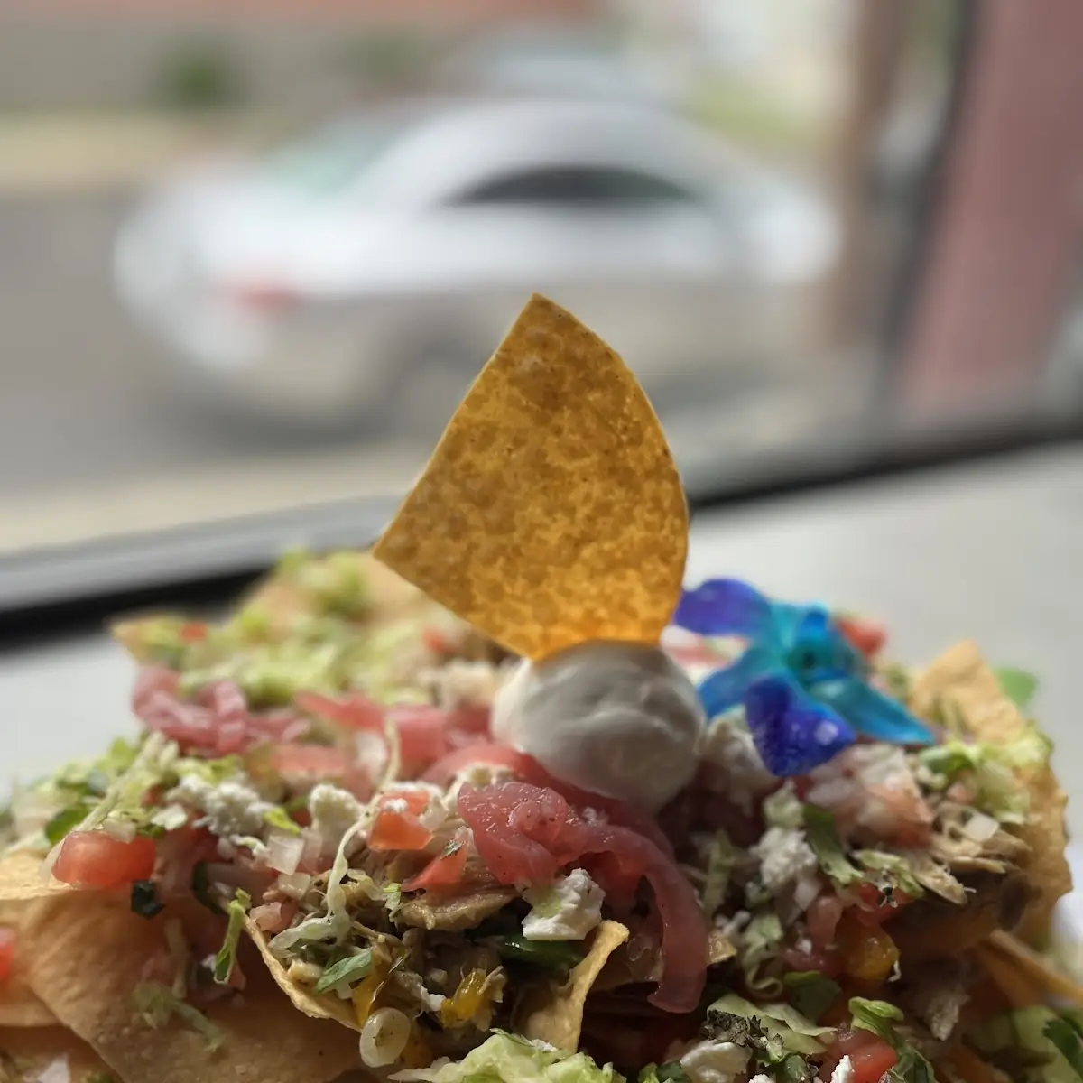 Loaded Nachos or Fries