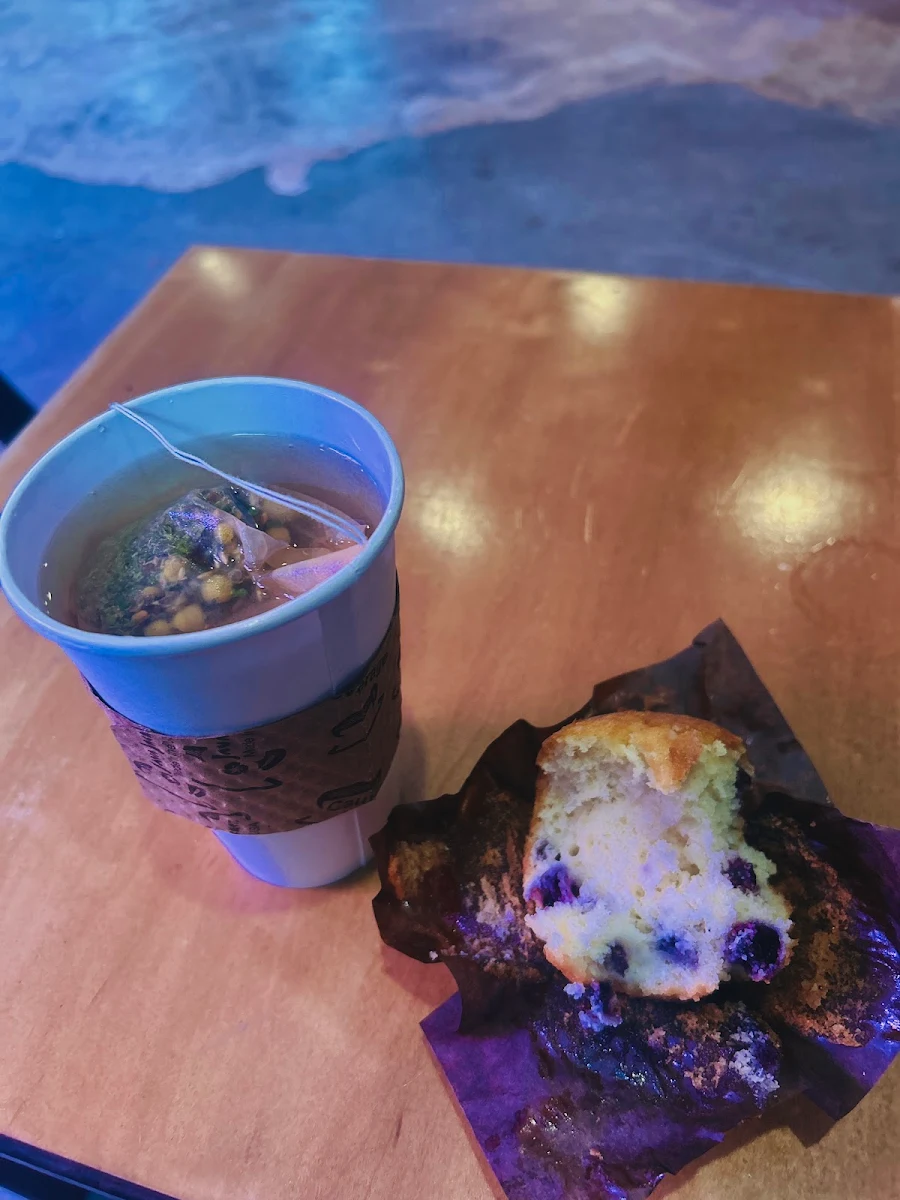 Blueberry Muffin