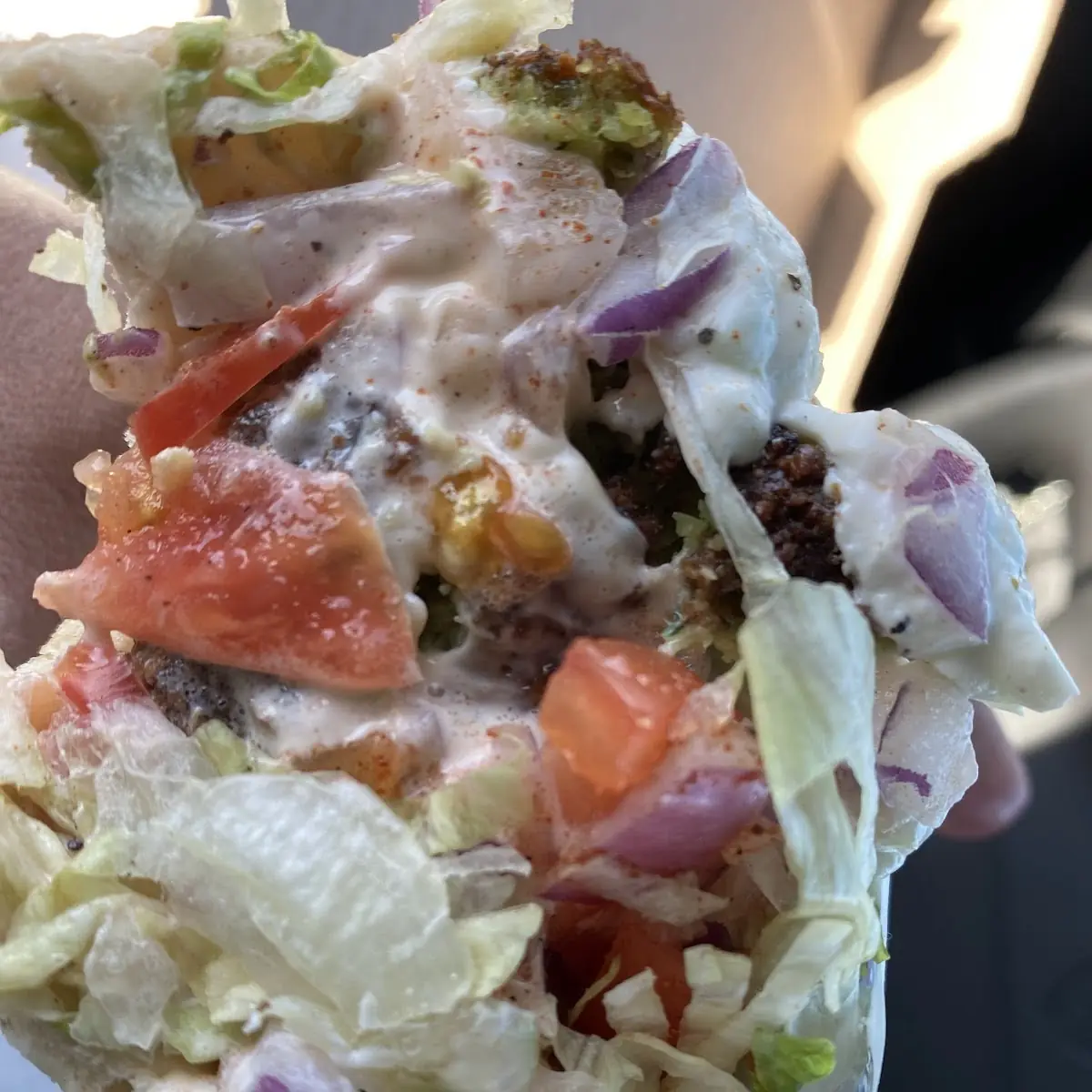 Falafel Sandwich