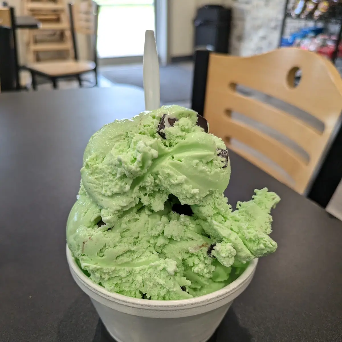Mint Chocolate Chip